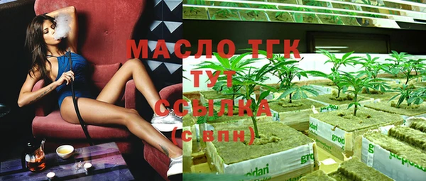 мдпв Надым