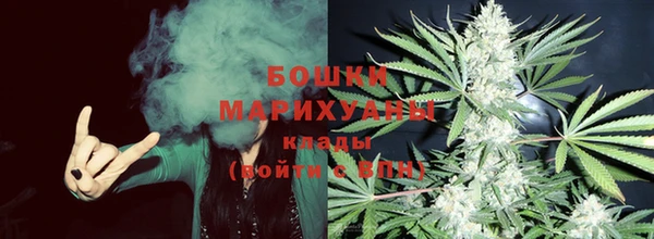 мдпв Надым
